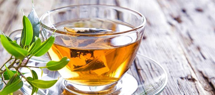 trà atiso có giảm cân không