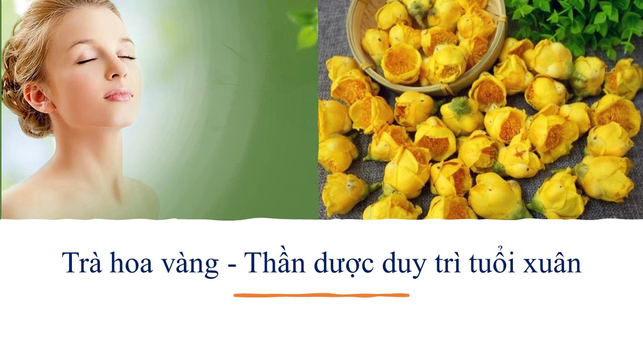 Công Dụng Của Trà Hoa Vàng