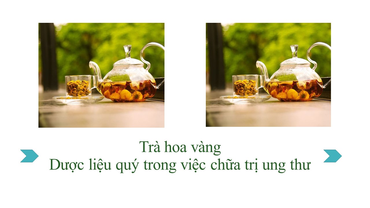 Công Dụng Của Trà Hoa Vàng