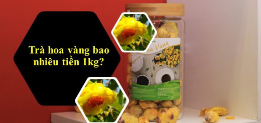 Trà hoa vàng bao nhiêu tiền 1kg?